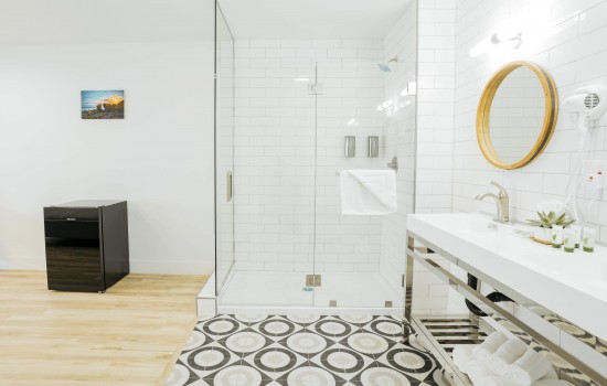 Shower and Vanity Area