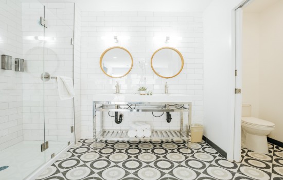 Shower & Vanity Area